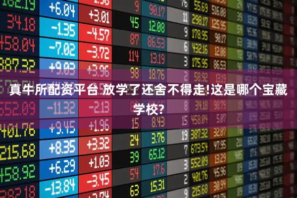 真牛所配资平台 放学了还舍不得走!这是哪个宝藏学校?
