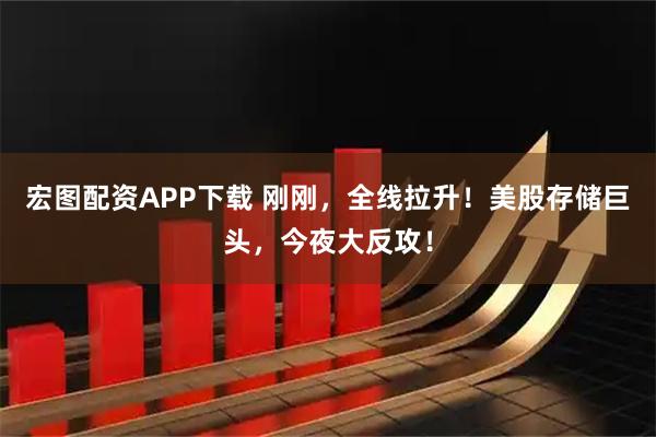 宏图配资APP下载 刚刚，全线拉升！美股存储巨头，今夜大反攻！